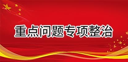 重點(diǎn)問(wèn)題專(zhuān)項(xiàng)整治